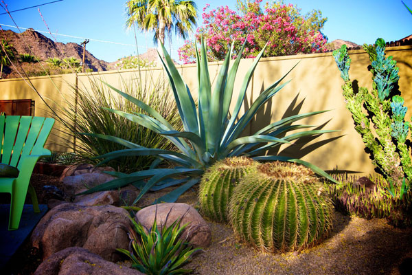 The Buck Residence on the Modern Phoenix Hometour 2011