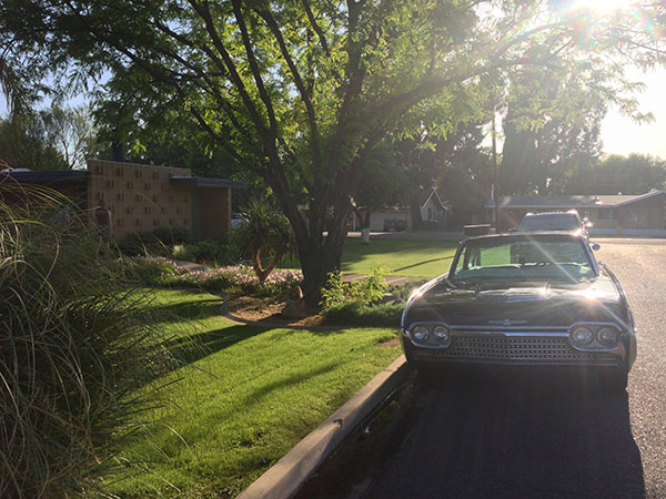 Robert Starkovich House on Modern Phoenix Home Tour