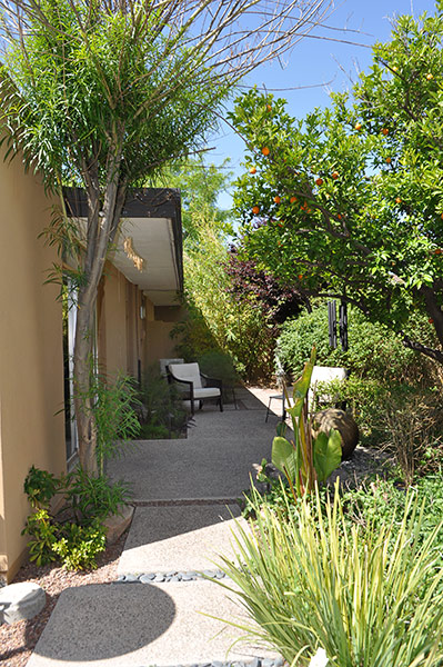 Robert Starkovich House on Modern Phoenix Home Tour