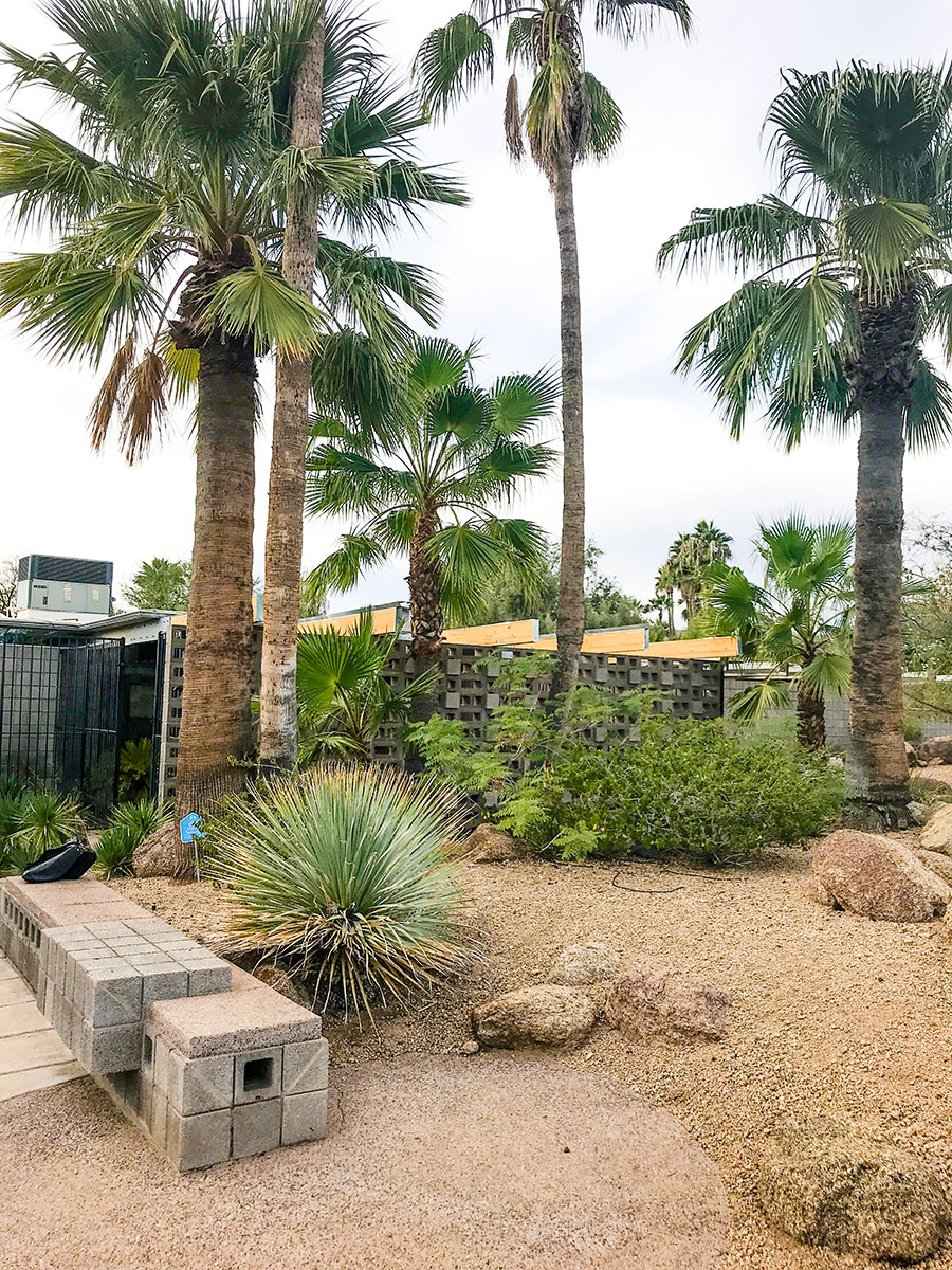 Kucharo's Xanadu on the Modern Phoenix Home Tour of Marion Estates in 2018