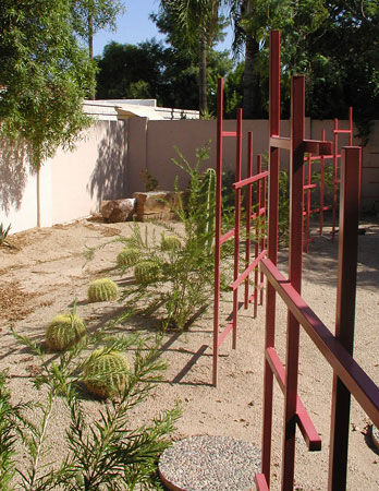 Xerophytic Design's Process in desert landscaping