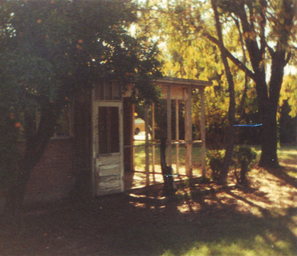 The Patio of the Ralph Haver home at 4624