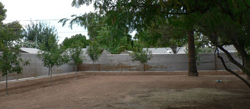 Designing the King Fence at a Ralph Haver house