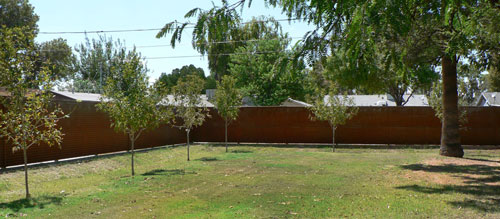 Designing the King Fence at a Ralph Haver house