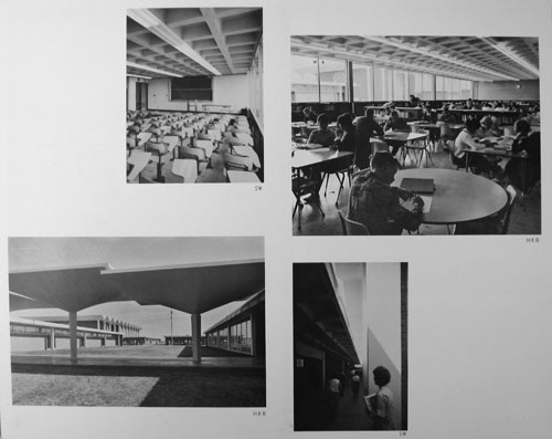 Coronado High School in Haver, Nunn, and Jensen's portfolio