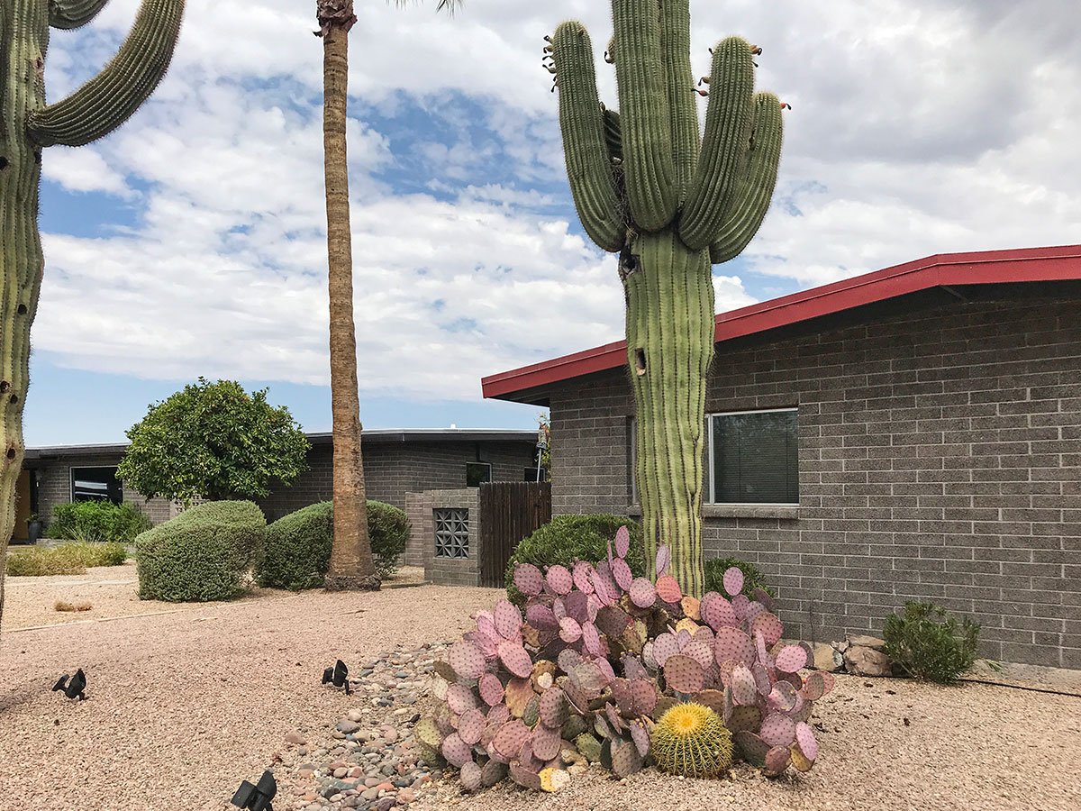 Town and Country Paradise homes by Ralph Haver with Fred Woodward in North Phoenix