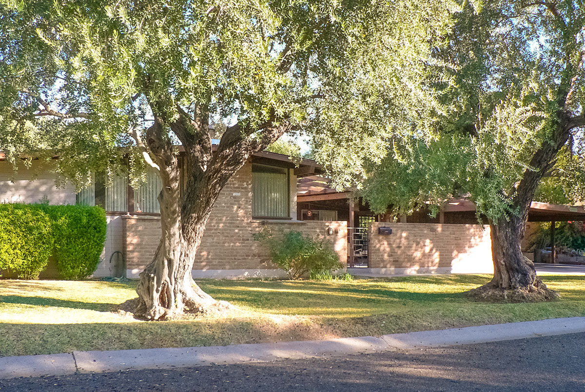 Town and Country Paradise Homes designed by Ralph Haver with Fred Woodward in Phoenix