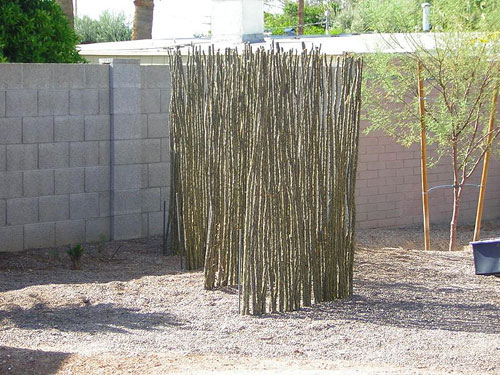 The Patterson-Montoya Residence on the Modern Phoenix Home Tour 2006