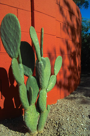 The Jones-Glotfelty Residence on the Modern Phoenix Home Tour 2006