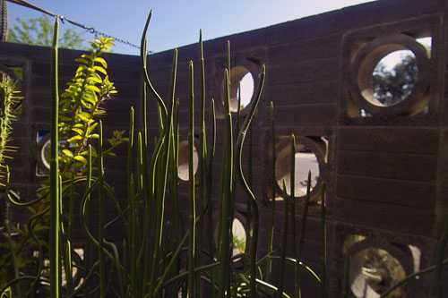 The Jones-Glotfelty Residence on the Modern Phoenix Home Tour 2006