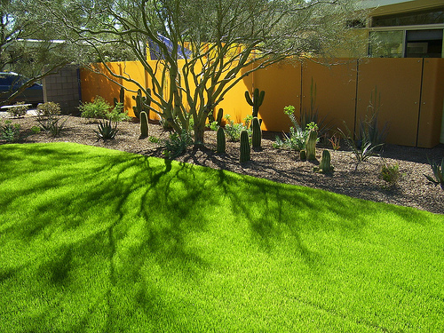 The Lacey Residence on the Modern Phoenix Hometour 2007