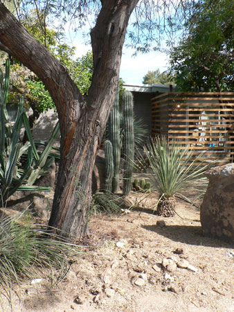 Modern wooden fences in Phoenix Arizona