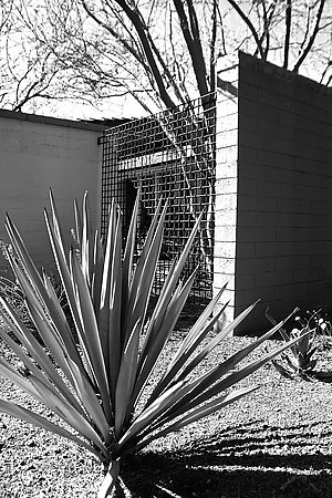 The Mather + Dye Residence on the Modern Phoenix Hometour 2007