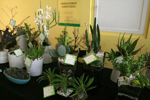 The Greenroom during Modern Phoenix Week 2008