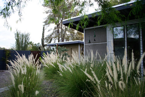 The Patterson Montoya House on the Modern Phoenix Hometour 2010