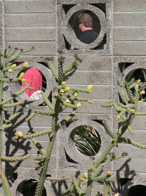 The Glotfelty-Jonex Residence on the Modern Phoenix Hometour 2010