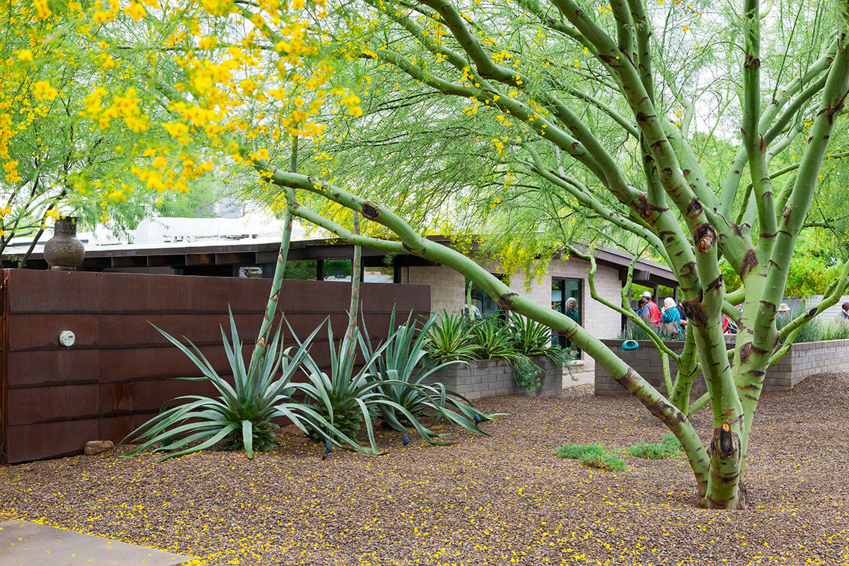 The Mason-Lopez Residence 2016 Modern Phoenix Home Tour