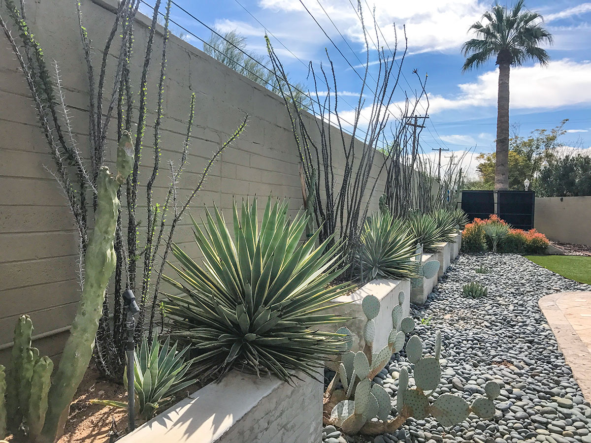 The Griffin Residence on the 2017 Modern Phoenix Home Tour