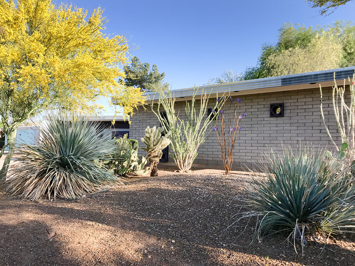 The Prickly Pear Residence on the Modern Phoenix Home Tour 2017