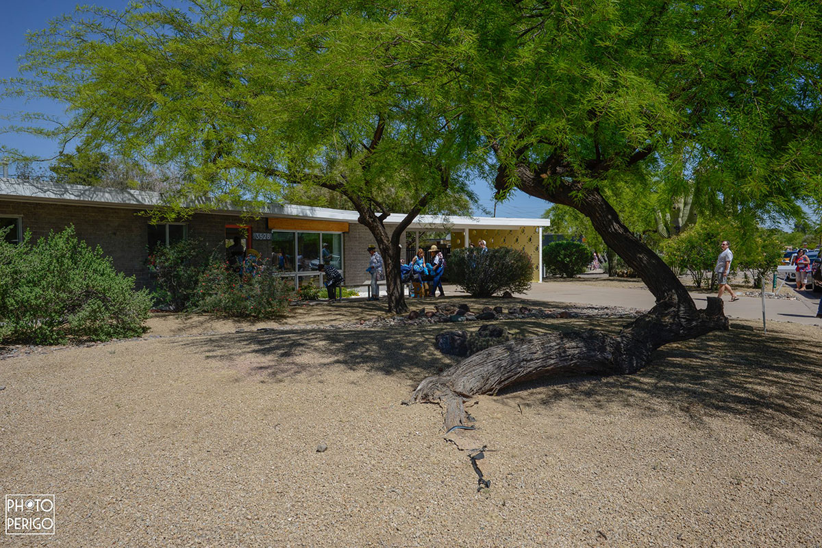 The Simply Modern Residence on the Modern Phoenix Home Tour 2017