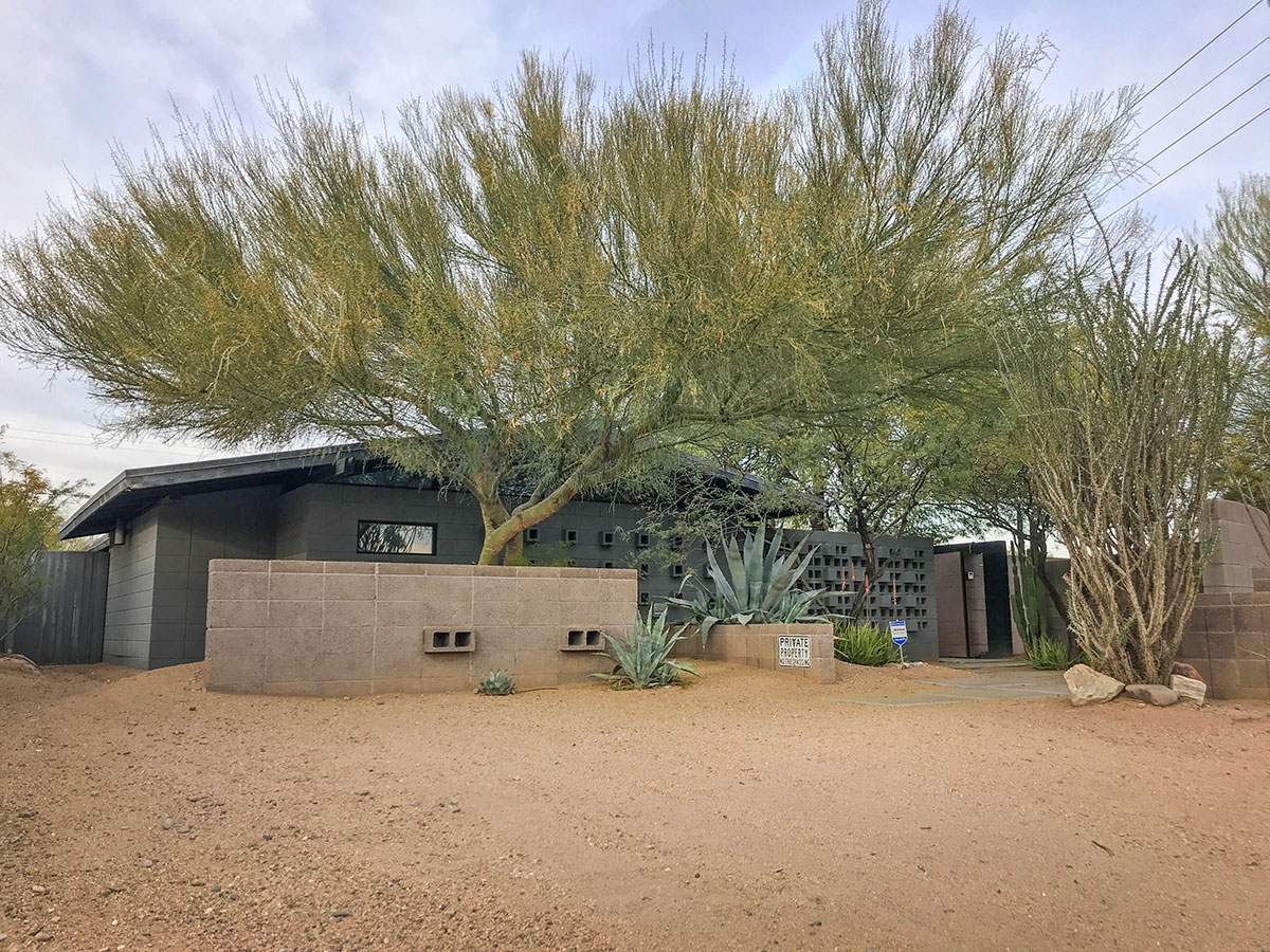 The Buena Terror on the Modern Phoenix Home Tour of Marion Estates in 2018