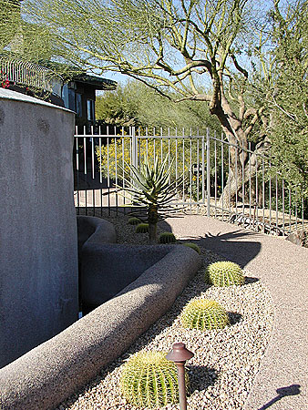 Xerophytic Design's Process in desert landscaping