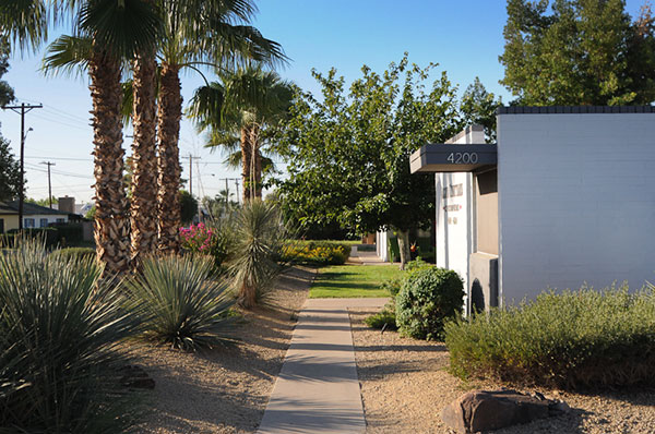 Arcadia Courtyards in Phoenix