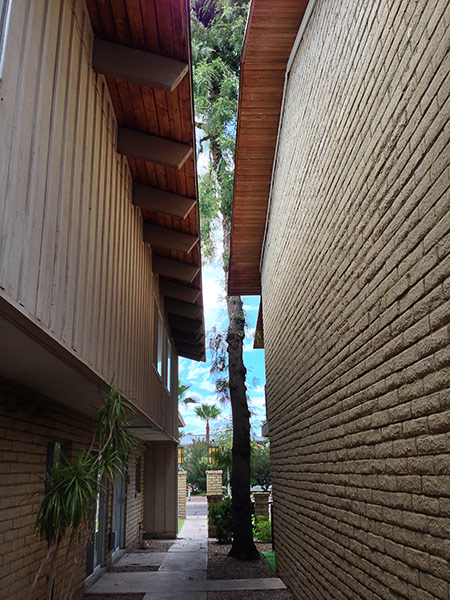 Valle Vista in Scottsdale on Modern Phoenix