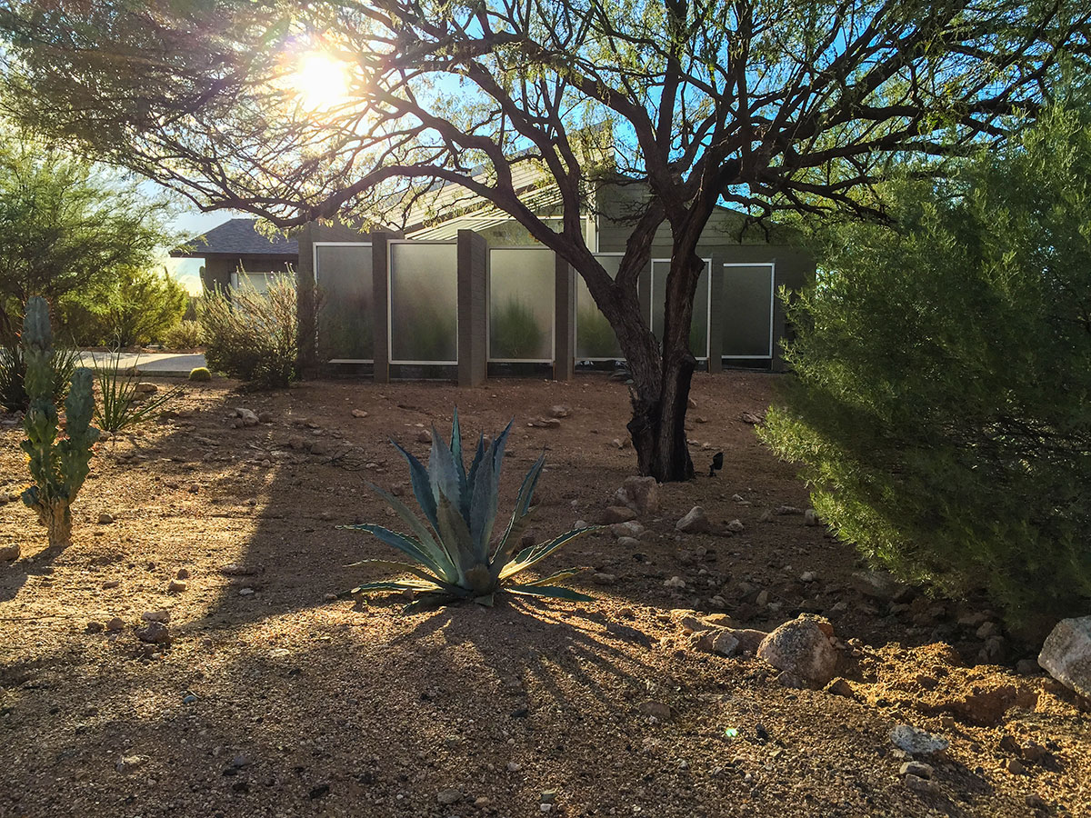 Sherwood Heights Neighborhood in Phoenix