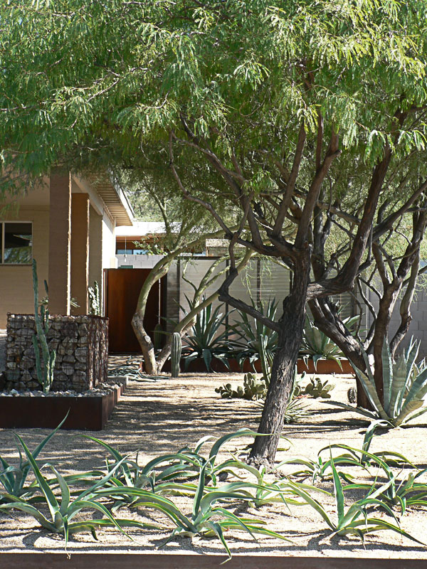 Eastern Sunnyslope Ocotillo Hills Subdivision area neighborhood Phoenix