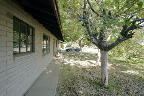 The Cedar Street Residence in Tempe designed by Maria and Matt Salenger coLAB Studio