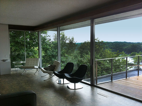 The Rice House in Virginia designed by Richard Neutra