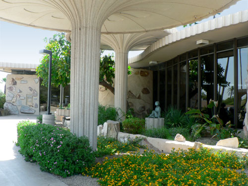 Dendriform Columns at the Valley National Bank on 44th Street and Camelback in Phoenix Arizona