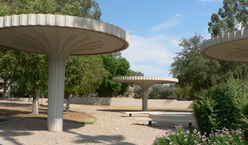 Dendriform Columns at the Valley National Bank on 44th Street and Camelback in Phoenix Arizona