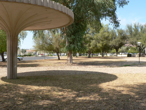 Dendriform Columns at the Valley National Bank on 44th Street and Camelback in Phoenix Arizona